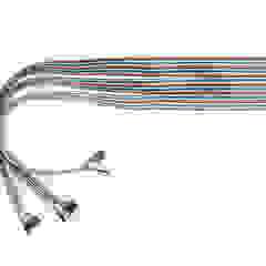 PTC064-2xx20-1x24DIL Cable Assembly